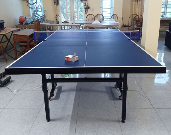 Bàn bóng bàn MDF Vinasport 25 ly (MDF-02) - Ảnh 2
